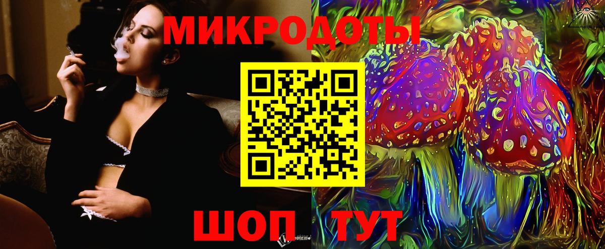 Псилоцибиновые грибы мицелий Сокол