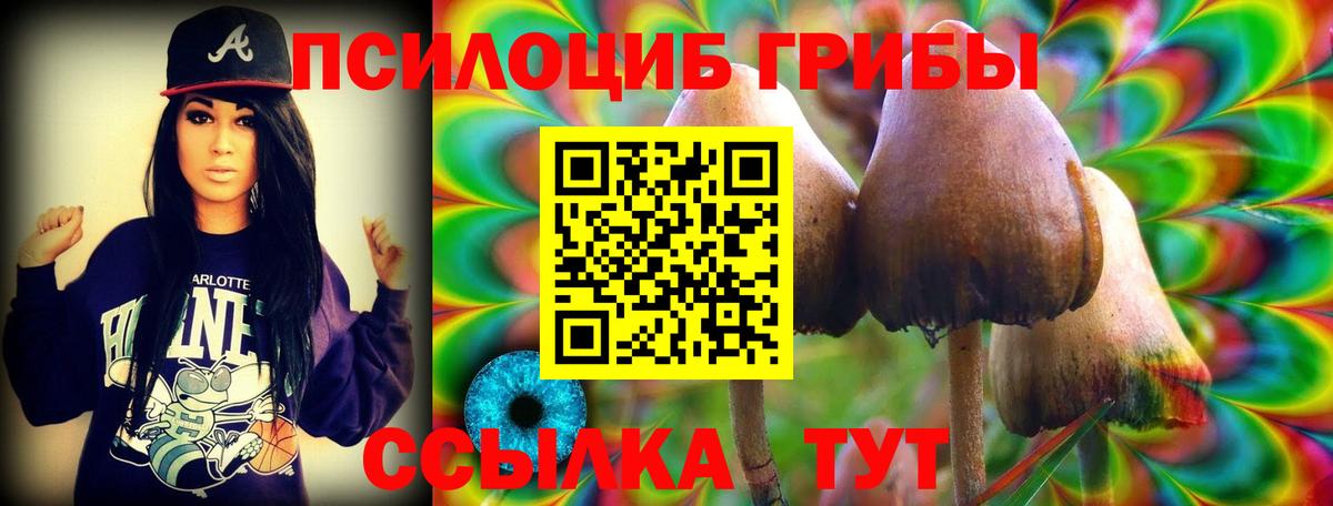 Галлюциногенные грибы Psilocybine cubensis  Псилоцибиновые грибы GOLDEN TEACHER  Сокол  Вход с VPN 