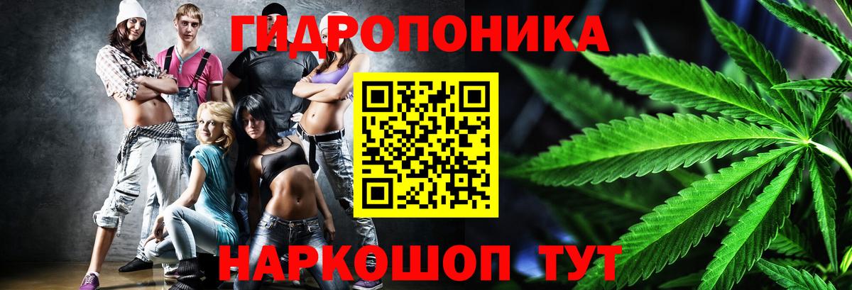 Каннабис MAZAR Сокол